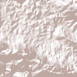 Bachajón Terrain Map