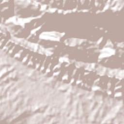 Los Pinos Terrain Map
