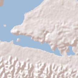 Flores Terrain Map
