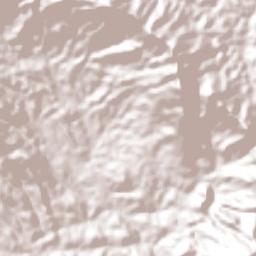 Mesones Hidalgo Terrain Map