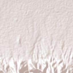 Magdalena Teitipac Terrain Map