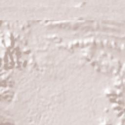 Saḩār Terrain Map