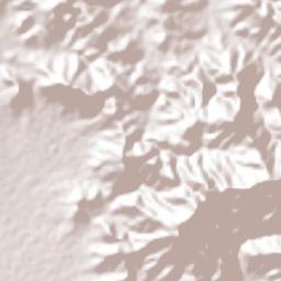 Santo Domingo Jalieza Terrain Map