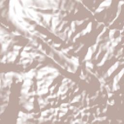 El Palmar (San Gabriel) Terrain Map