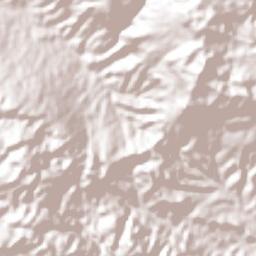 Abasolo Terrain Map