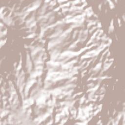 Altamirano Terrain Map