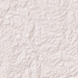 San Guillermo Terrain Map