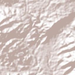 Coacoyulichán Terrain Map