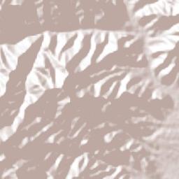 Santa Cruz Mixtepec Terrain Map