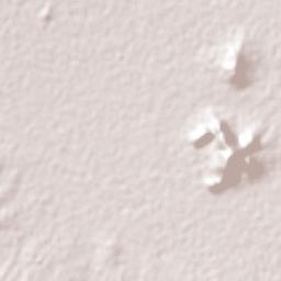 Asunción Ocotlán Terrain Map