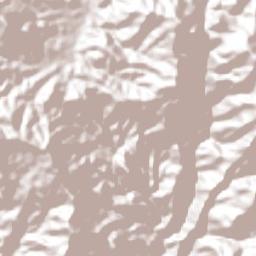 San Baltazar Guelavila Terrain Map