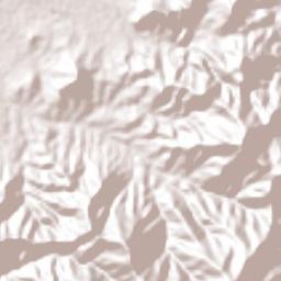 San Jerónimo Taviche Terrain Map