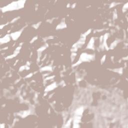 Soledad Salinas Terrain Map