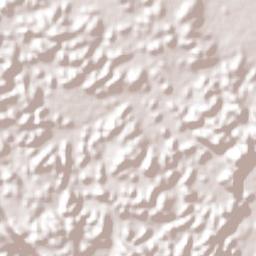 Alfonso Moguel Terrain Map