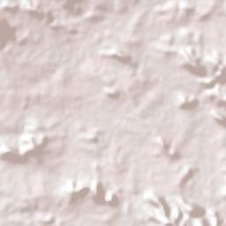 Cereso 14 (El Amate) Terrain Map