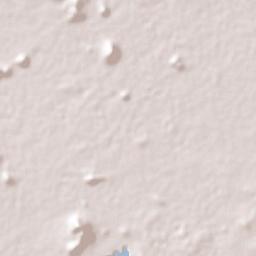 Santiago Niltepec Terrain Map