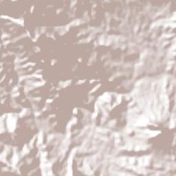 Nueva Tenochtitlán (Rizo de Oro) Terrain Map