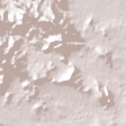José María Pino Suárez Terrain Map