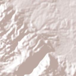 Nicolás Bravo Terrain Map