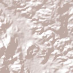 Amatenango del Valle Terrain Map