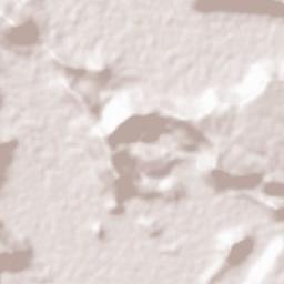 Amphoe Nong Sung Terrain Map