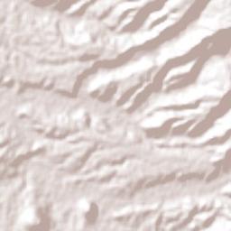 Ricardo Flores Magón Terrain Map