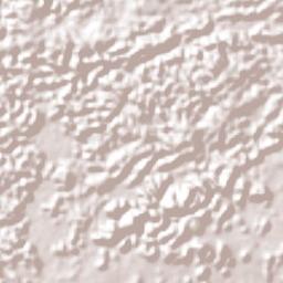 Municipio de Poptún Terrain Map
