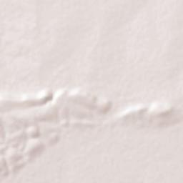 Bilgi Terrain Map