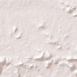 Wanparti Terrain Map