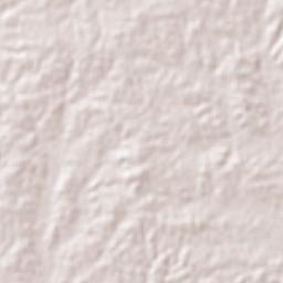 Santo Domingo Armenta Terrain Map