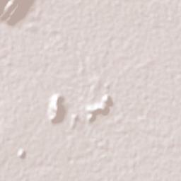 Colonia San Luis Terrain Map