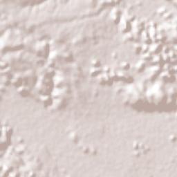 Buenavista Terrain Map