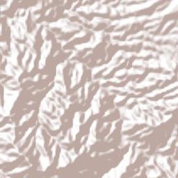 San Pablo Coatlán Terrain Map