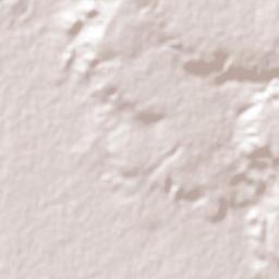 San Francisco Pujiltic Terrain Map