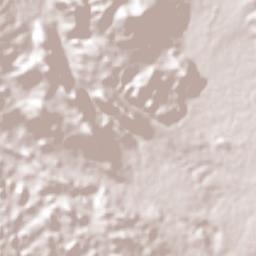 Comitán Terrain Map