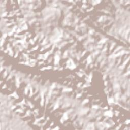 Nuevo San Juan Chamula Terrain Map