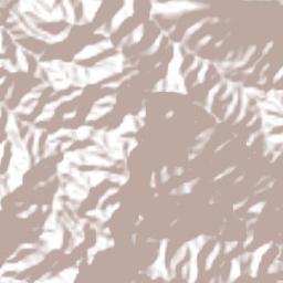 San Francisco Coatlán Terrain Map