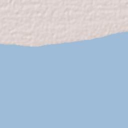 Colonia Juárez Terrain Map