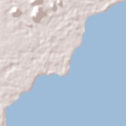 Punta Gorda Terrain Map