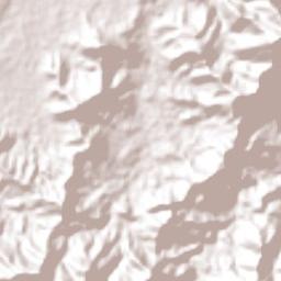 San Pedro Buenavista Terrain Map