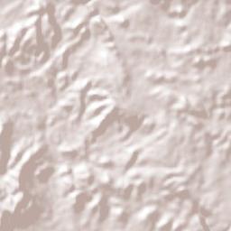 Las Delicias Terrain Map