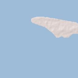 Puerto Castilla Terrain Map