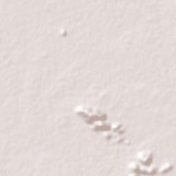 Manvi Terrain Map