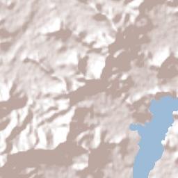 Nuevo Vicente Guerrero Terrain Map