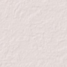 San Carlos Terrain Map