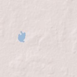 Wapi Pathum Terrain Map