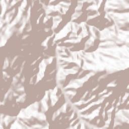 Sharas Terrain Map