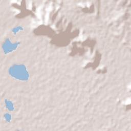 Tamaulipas Terrain Map