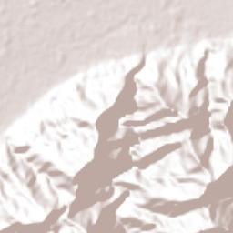 El Pino Terrain Map