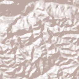 Al Masilah Terrain Map